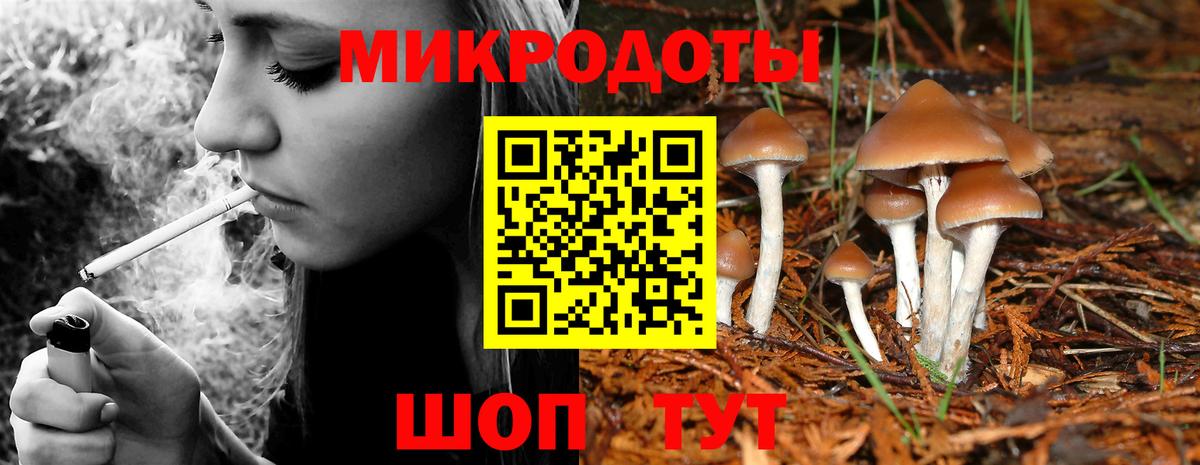 Бор  Галлюциногенные грибы Psilocybe  Вход с VPN 